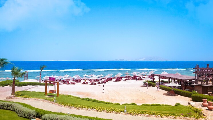 Charmillion Sea Life